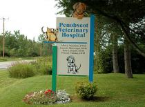 Penobscot Veterinary Services Penobscot Veterinary Services
