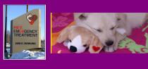 PET Emergency Treatment