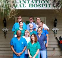 Plantation Animal Hospital, 105 Dillon Road : Veterinary emergency