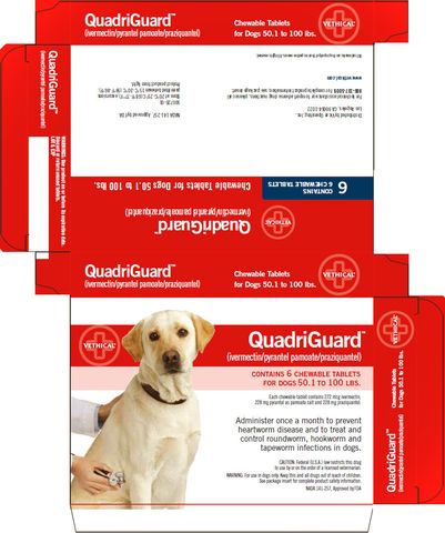 QuadriGuard ™ (ivermectin/pyrantel pamoate/praziquantel) CHEWABLE TABLETS FOR DOGS