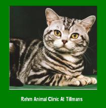 Rehm Animal Clinic