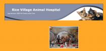 Rice Village Animal Hospital Rice Village Animal Hospital
