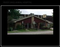 River Oaks Animal Hospital