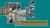 Ruxton Animal Hospital Ruxton Animal Hospital