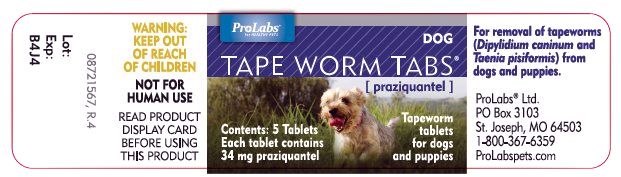 TAPE WORM TABS ® (praziquantel)Tapeworm tablets for dogs and puppies