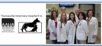 Thomasville Veterinary Hospital PA Thomasville Veterinary Hospital PA