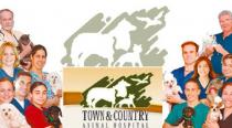 Town & Country Animal Hospital Town & Country Animal Hospital