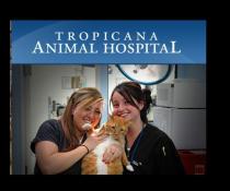 Tropicana Animal Hospital