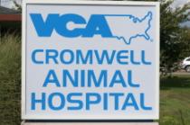 VCA Cromwell Animal Hospital