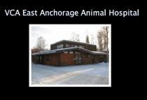 VCA East Anchorage Animal Hospital
