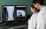 Radiology Radiology