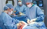 Small Animal Surgery and Medicine Small Animal Surgery and Medicine