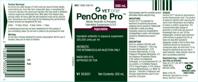 VETone TM PenOne Pro TM Injectable Antibiotic