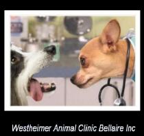Westheimer Animal Clinic Bellaire Westheimer Animal Clinic Bellaire
